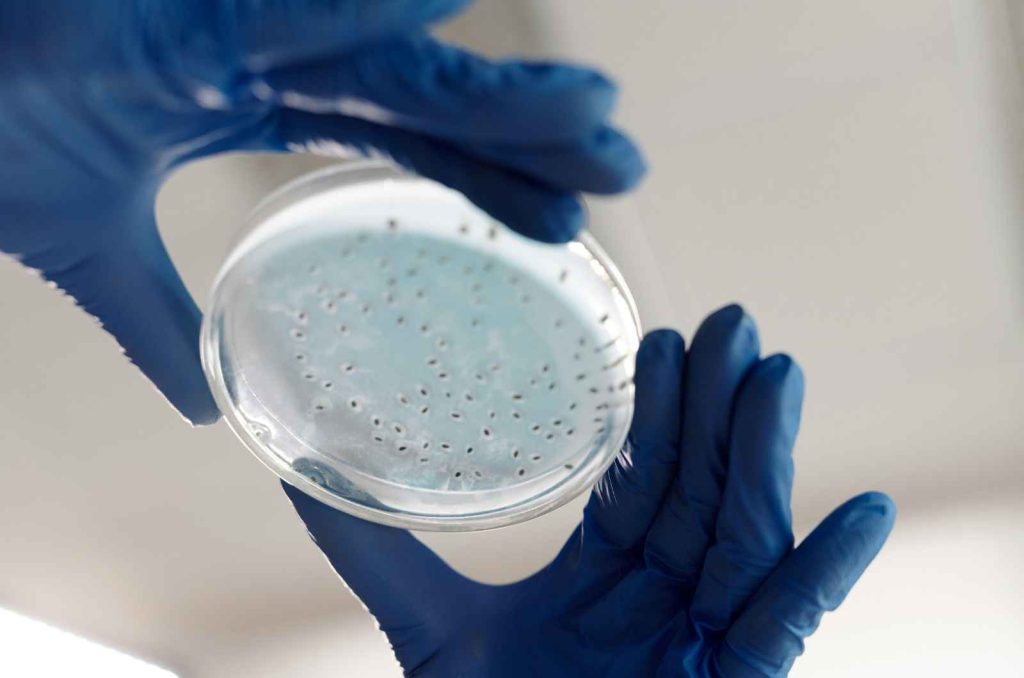 protein assay