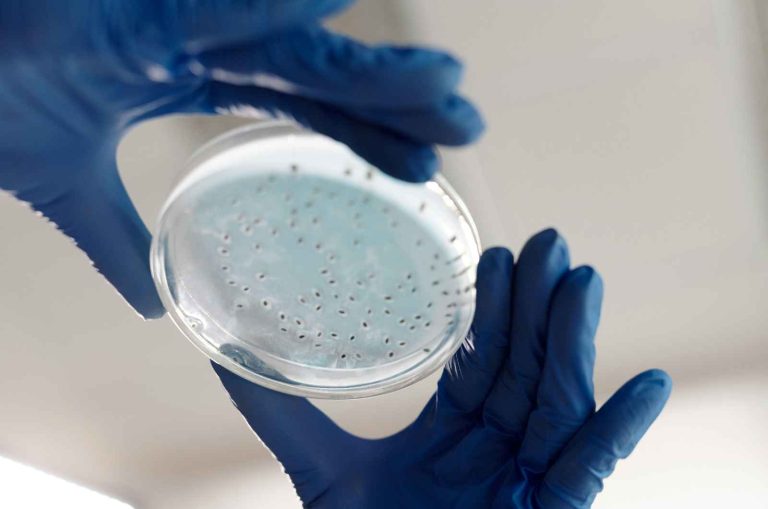 protein assay