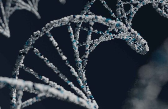 What is Geneyx Analysis?2