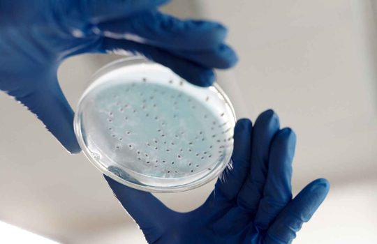 protein assay2